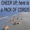 Cheer up