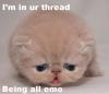 Emo kitty