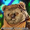 Ewok prepare