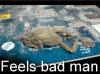 Feels Bad Frog