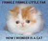Frinkle