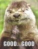 Good otter