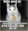 Hello good sir