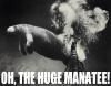 Oh the huge manatee!