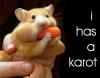 I has a karot