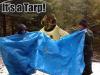 Tarp