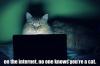On the internet