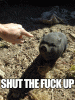 STFU