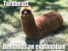 Turdbeast demands an explanation