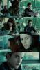 Twilight smell