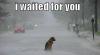 Waited