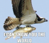 I can show you the world
