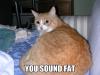 You sound fat