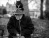 Cat on Head