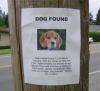 Random sign 2