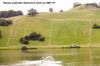 Soccer field