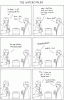 Water cooler