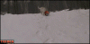 Tribes Ascend Skiing