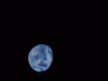 Alderan Shot First