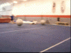 Ball Fun