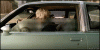 Car window
