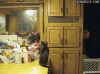 Cat vs Balloon