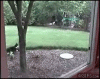 Cat vs Rabbit