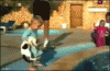 Cat wins