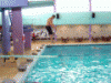 Diving fail