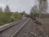 Train loop