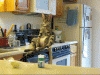 Hover cat