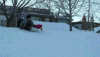 Sled Jack Dawg