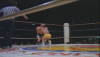 Midget Wresting