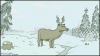 Reindeer through time