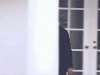 Obama Locked Out