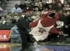Raptor mascot