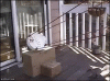 Squirrel Trap