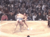 Sumo fight