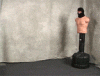 fail ninja