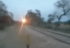 Train Wash