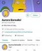 Aurora Borealis