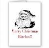 Merry Christmas Bitches