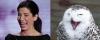 Sandra Bullock Owl