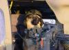 Dog Warrior