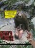 Dynamite monkey