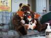 Ewok mogwai S&M
