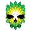 New BP logo