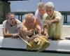 Happy turtle