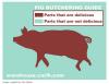 Pig Butchering Guide