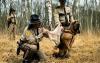 Sniffer Dogs